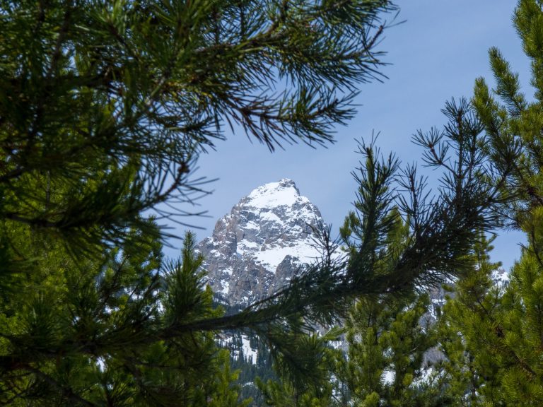 Grand Teton National Park