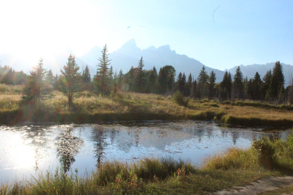 Grand Teton National Park